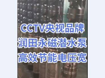 永磁潜水泵