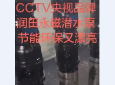 永磁潜水泵