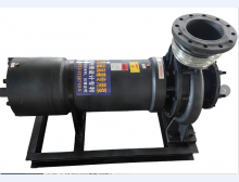 永磁高速泵